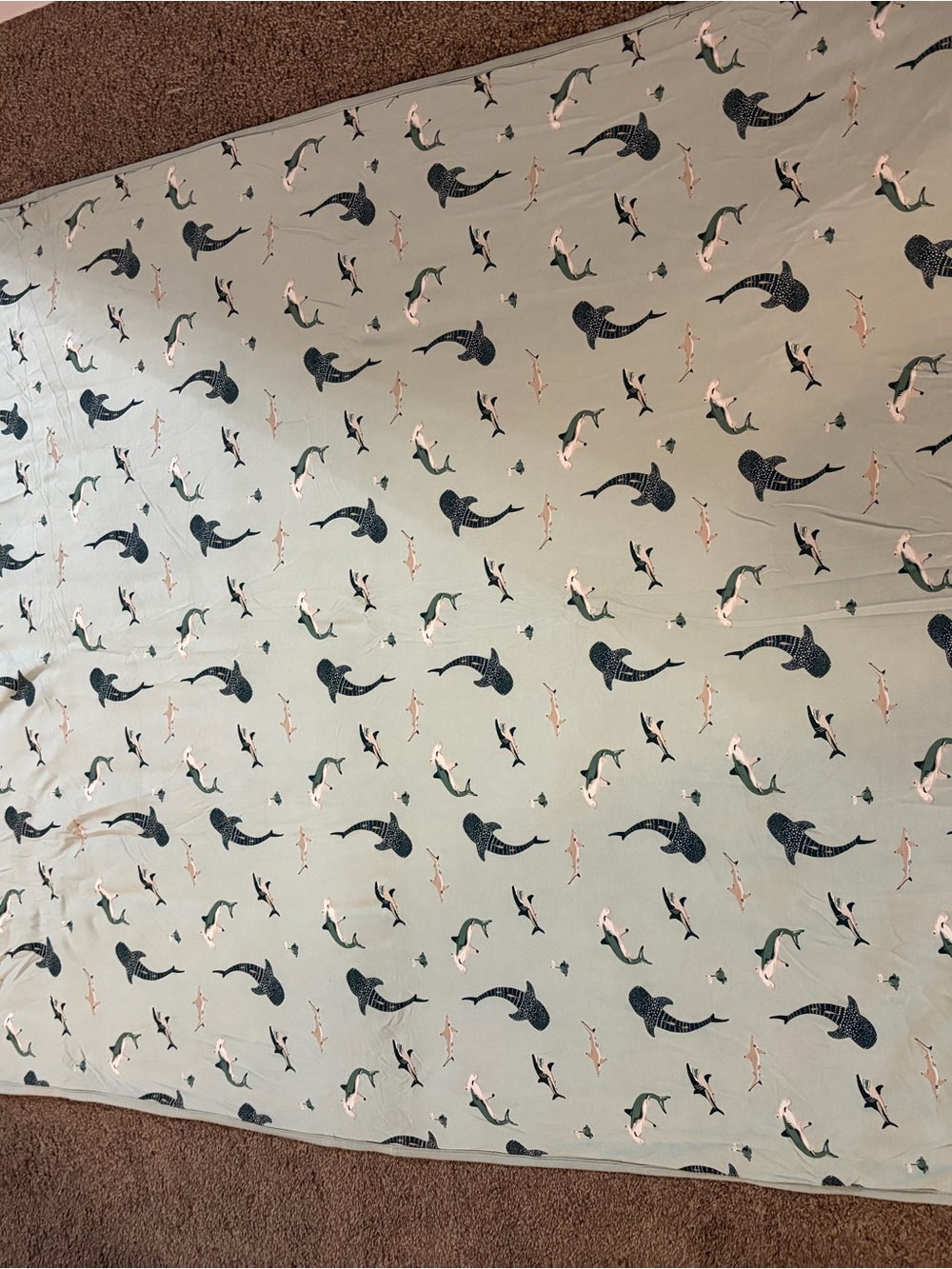 Kyte BABY Retired Sage Shark Toddler blanket